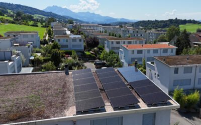 Einfamilienhaus Root